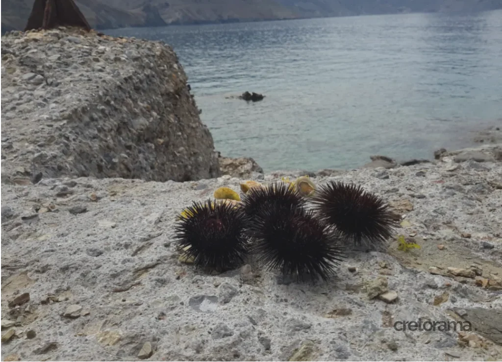 gela beach kalavro
